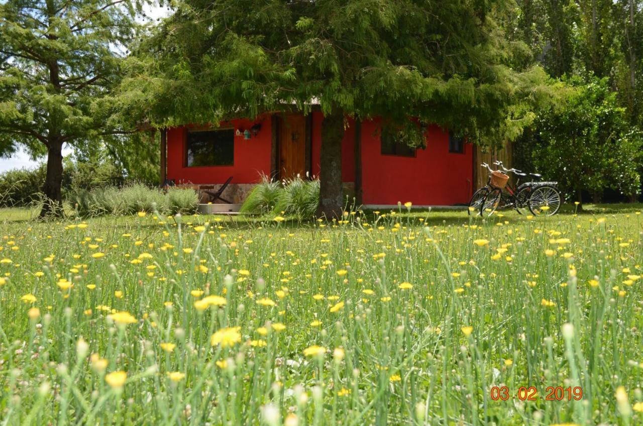 Cabana La Toscana Carmelo Zewnętrze zdjęcie